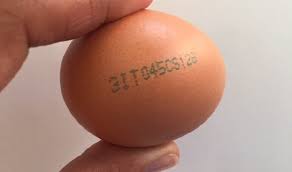 Quello che dovremmo sapere sulle  uova….