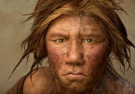 I Neanderthal questi sconosciuti così studiati….
