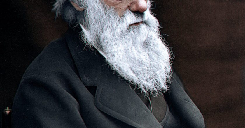 Darwin, il taccuino B e l’Albero della Vita