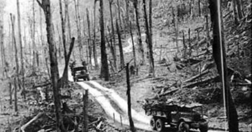 Vietnam: il raid del 1965