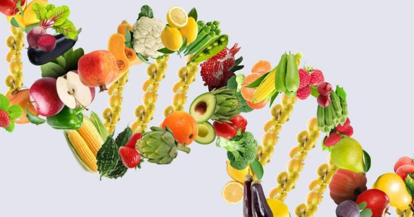 Genetica: i nostri gusti e le malattie dell’alimentazione