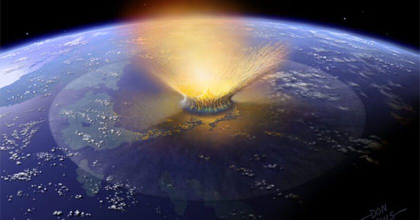 L’asteroide che ha estinto i dinosauri ha dato vita alla foresta amazzonica