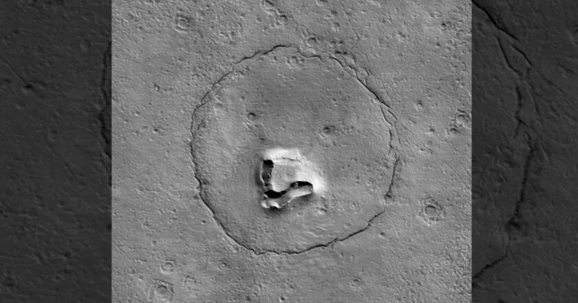 <strong>L’immagine del volto di un orso su Marte</strong>