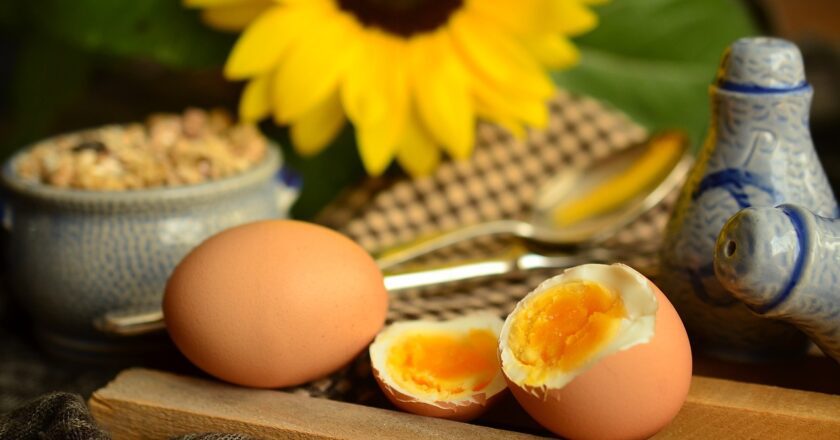 Conoscere le uova: proprietà, etichettatura e conservazione
