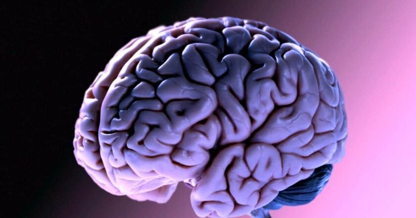 Alla scoperta delle sindromi cerebrali più agghiaccianti