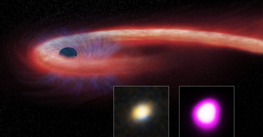 Osservato un buco nero particolarmente “vorace”