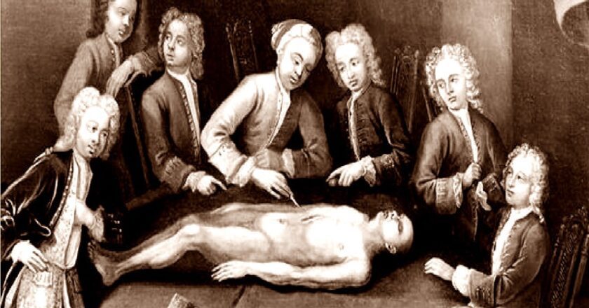 Gray’s Anatomy e il  mercato nero dei cadaveri