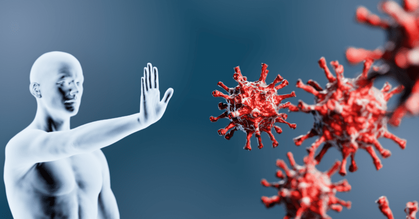 Il  sistema  immunitario:  le forze di sicurezza del corpo umano