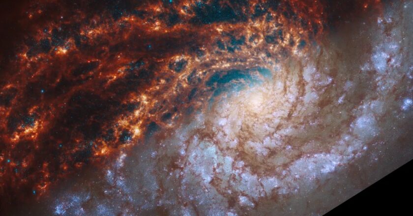 Immagini strabilianti rivelano dettagli di 19 galassie